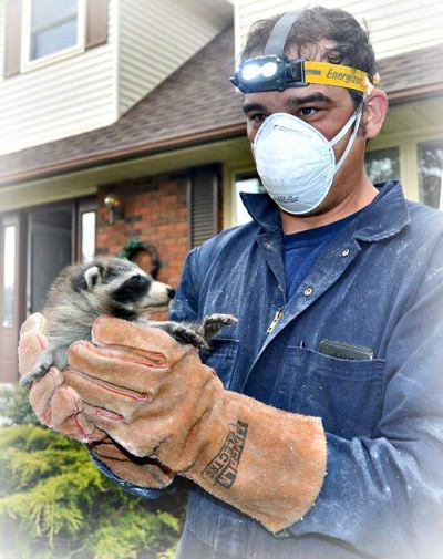 Pest Removal Tech Jared Houliston