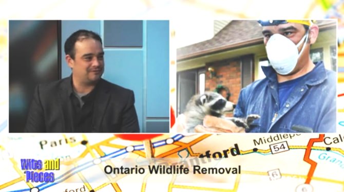 Jared Houliston Answering Wildlife Removal Questions