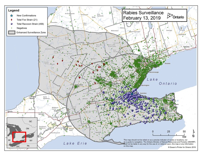 Rabies cases in Ontario for 2019