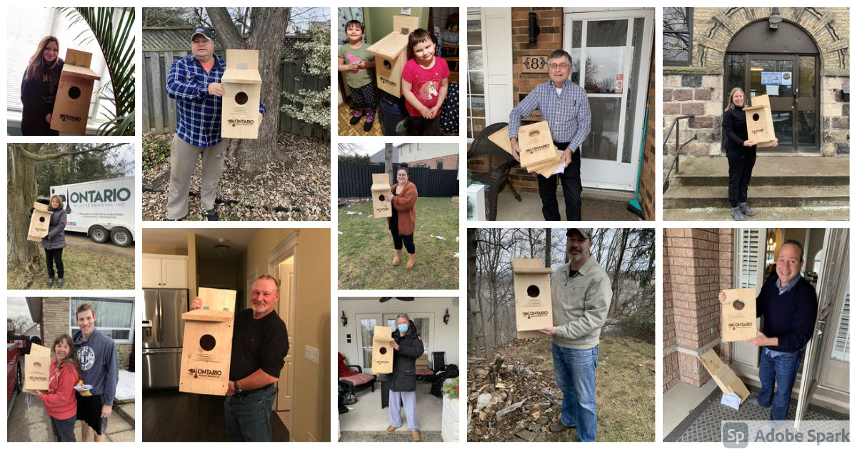Owl box owners