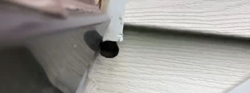 Picture of mouse hole in house siding