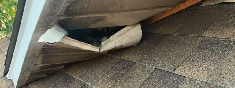 Wildlife damage