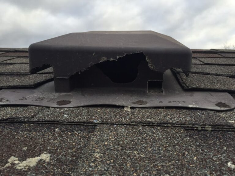 Roof vent squirrel damage