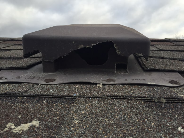 Roof vent squirrel damage