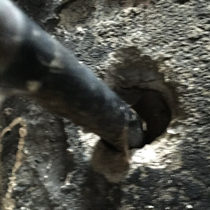Large mouse entry through damaged hydro line