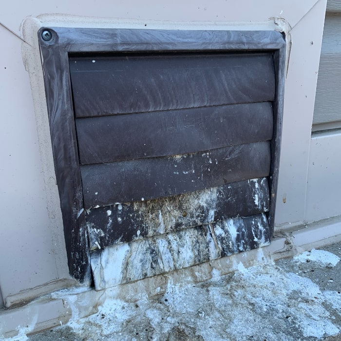 Bird dropping nest air vent external home