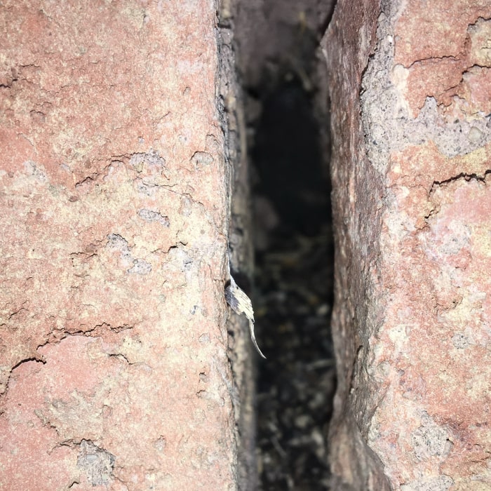 Mice entry through weeping brick