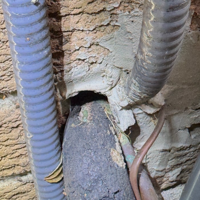 Mouse entry through hydro wires