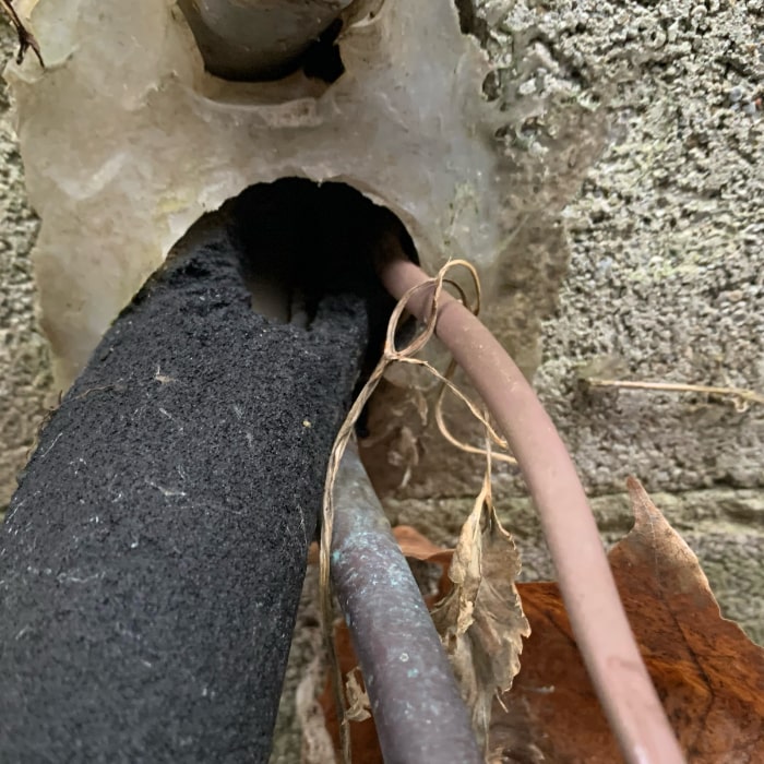 Mouse hole in the external house hydro line