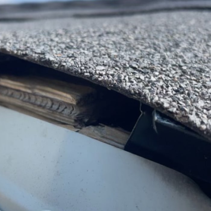 Rodent entry through the roof line