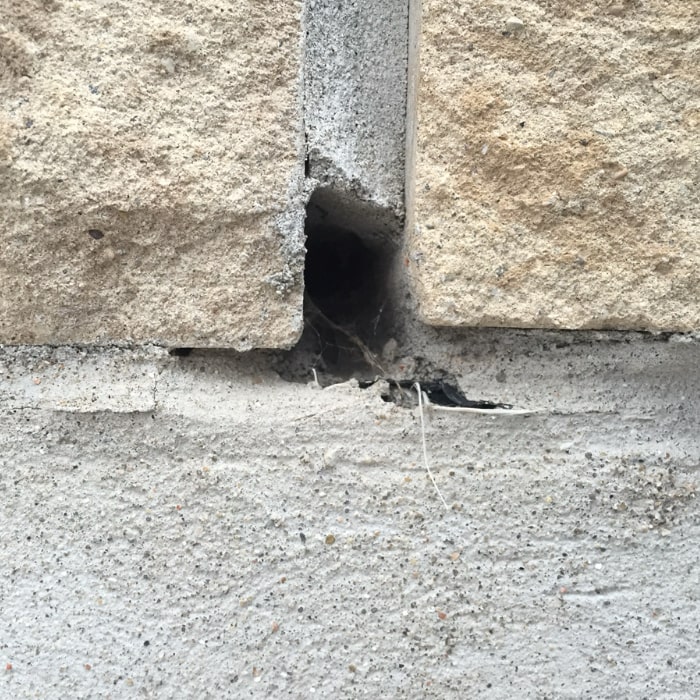 Weeping brick mice entry point