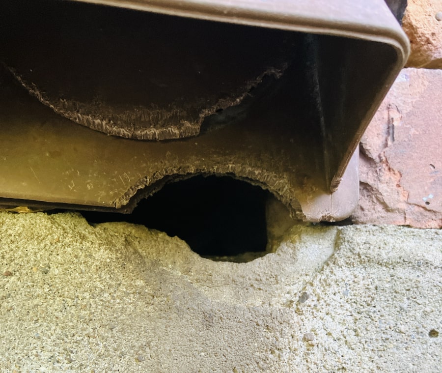 Squirrel chewed out entry hole