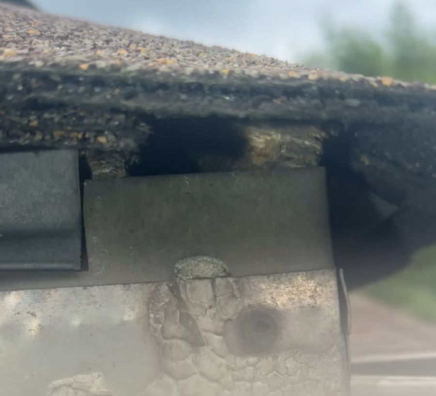 Squirrel chewed roof line entry