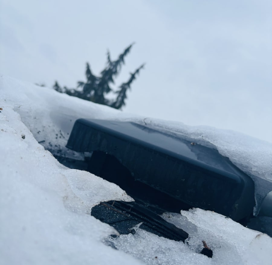 Squirrel chewed roof vent