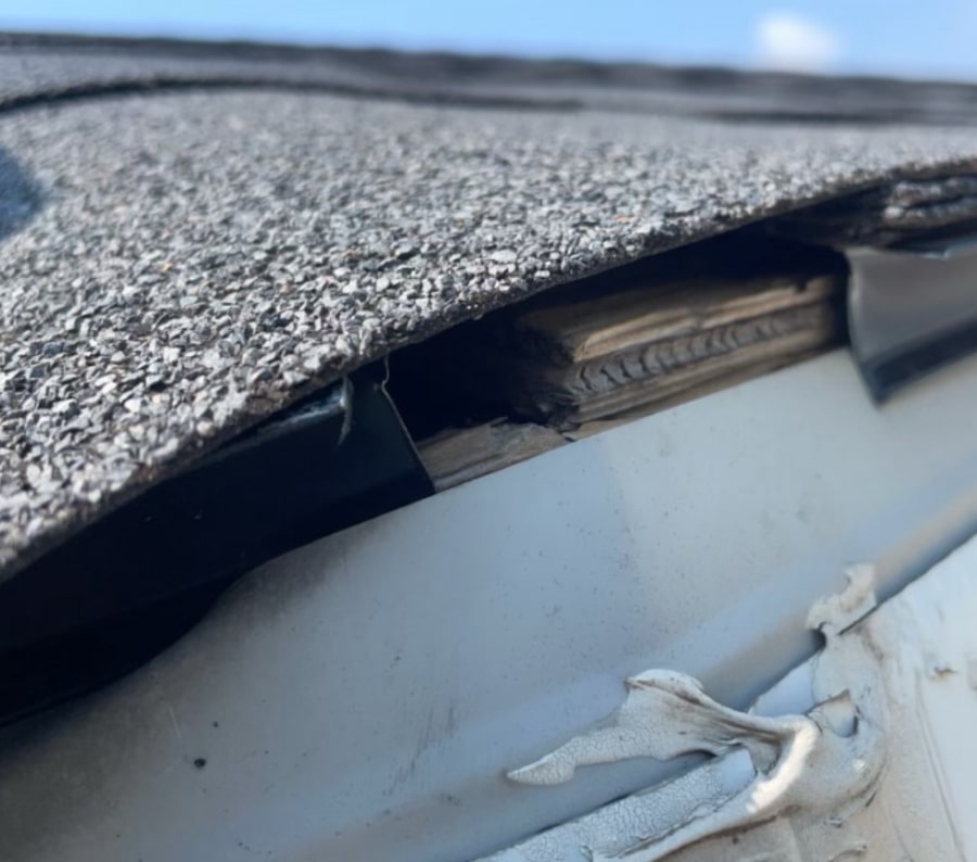 Squirrel roof line entry point