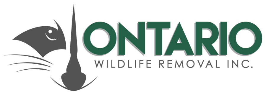Ontario Wildlife Removal Inc.